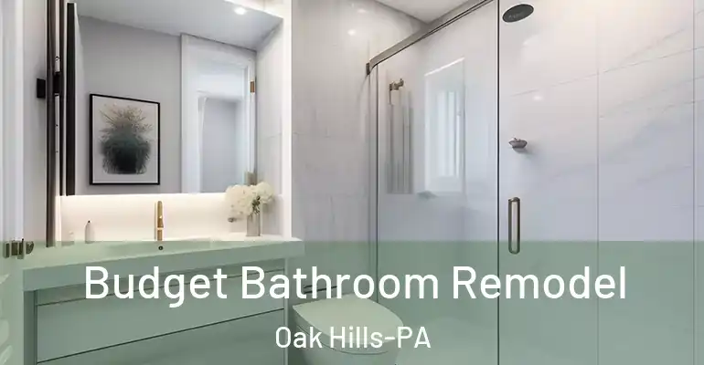 inner Bathroom imggen Budget Bathroom Remodel Oak Hills-PA
