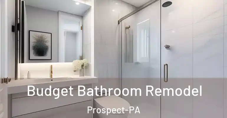 inner Bathroom imggen Budget Bathroom Remodel Prospect-PA
