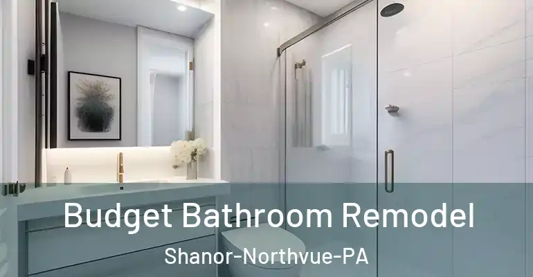 inner Bathroom imggen Budget Bathroom Remodel Shanor-Northvue-PA