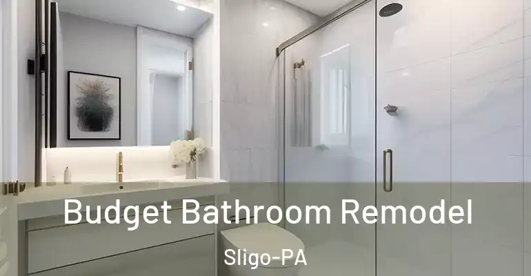 inner Bathroom imggen Budget Bathroom Remodel Sligo-PA