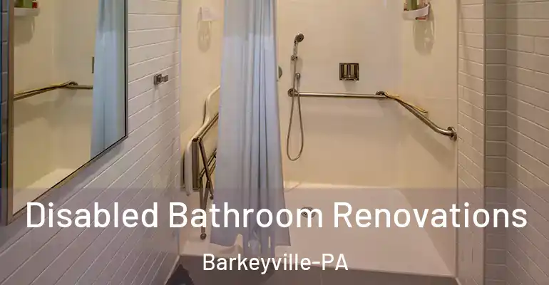 inner Bathroom imggen Disabled Bathroom Renovations Barkeyville-PA