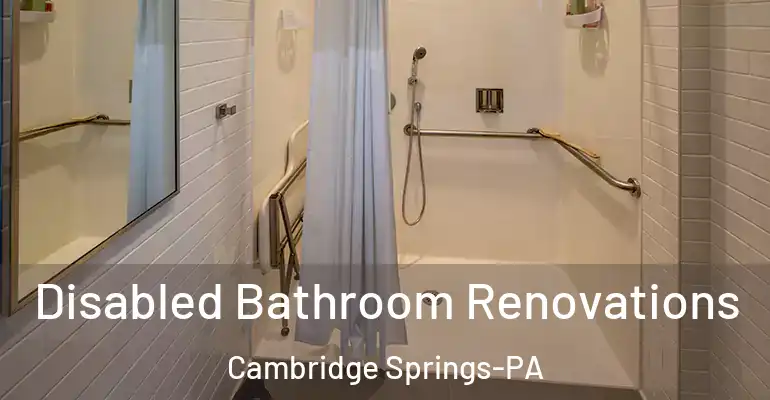inner Bathroom imggen Disabled Bathroom Renovations Cambridge Springs-PA