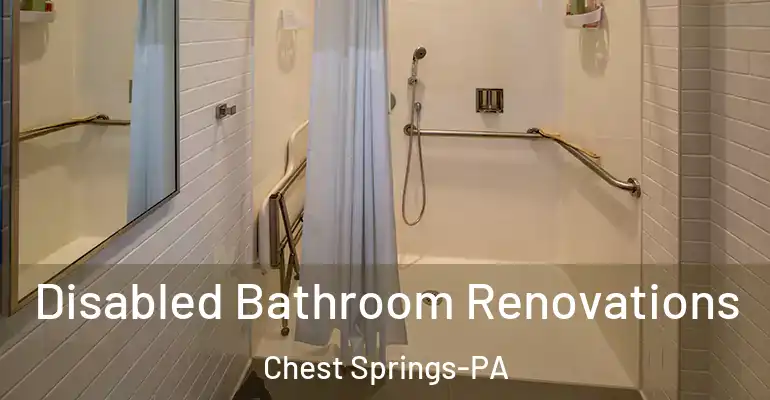 inner Bathroom imggen Disabled Bathroom Renovations Chest Springs-PA