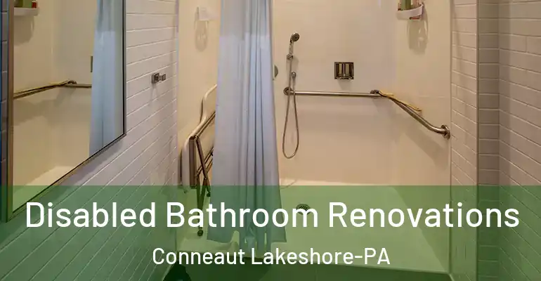 inner Bathroom imggen Disabled Bathroom Renovations Conneaut Lakeshore-PA