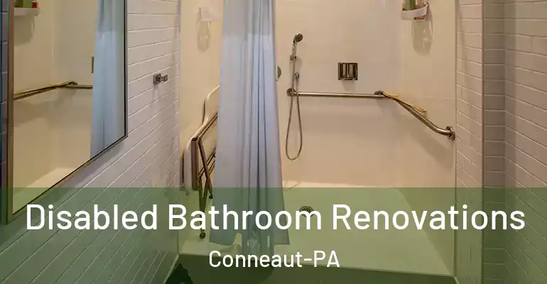 inner Bathroom imggen Disabled Bathroom Renovations Conneaut-PA