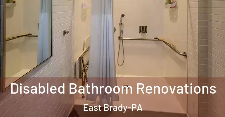 inner Bathroom imggen Disabled Bathroom Renovations East Brady-PA
