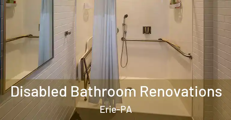 inner Bathroom imggen Disabled Bathroom Renovations Erie-PA