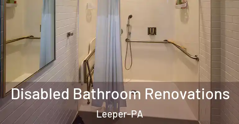 inner Bathroom imggen Disabled Bathroom Renovations Leeper-PA