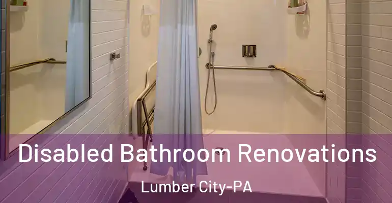 inner Bathroom imggen Disabled Bathroom Renovations Lumber City-PA