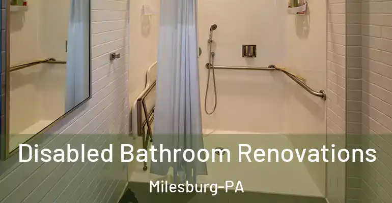 inner Bathroom imggen Disabled Bathroom Renovations Milesburg-PA