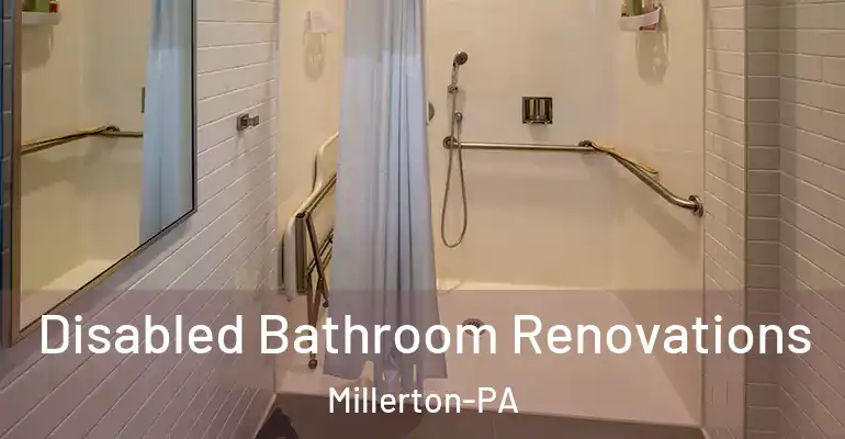 inner Bathroom imggen Disabled Bathroom Renovations Millerton-PA