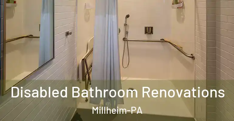 inner Bathroom imggen Disabled Bathroom Renovations Millheim-PA