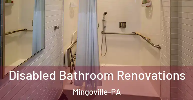 inner Bathroom imggen Disabled Bathroom Renovations Mingoville-PA
