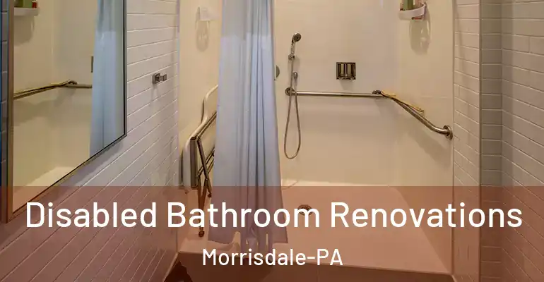 inner Bathroom imggen Disabled Bathroom Renovations Morrisdale-PA
