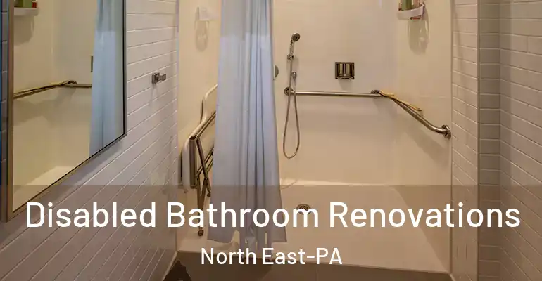 inner Bathroom imggen Disabled Bathroom Renovations North East-PA