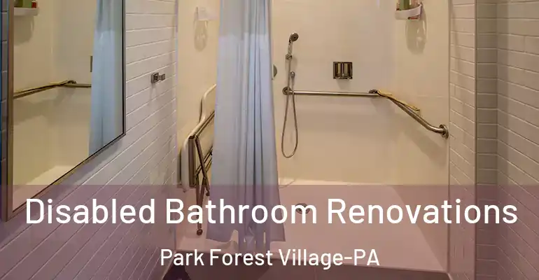 inner Bathroom imggen Disabled Bathroom Renovations Park Forest Village-PA