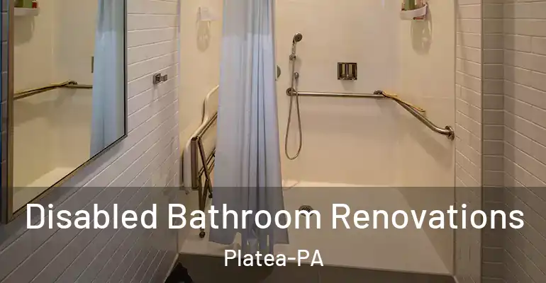 inner Bathroom imggen Disabled Bathroom Renovations Platea-PA