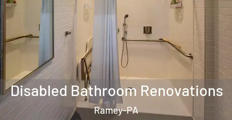 inner Bathroom imggen Disabled Bathroom Renovations Ramey-PA