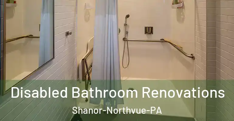 inner Bathroom imggen Disabled Bathroom Renovations Shanor-Northvue-PA