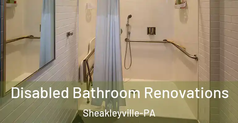 inner Bathroom imggen Disabled Bathroom Renovations Sheakleyville-PA