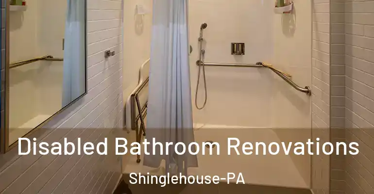 inner Bathroom imggen Disabled Bathroom Renovations Shinglehouse-PA