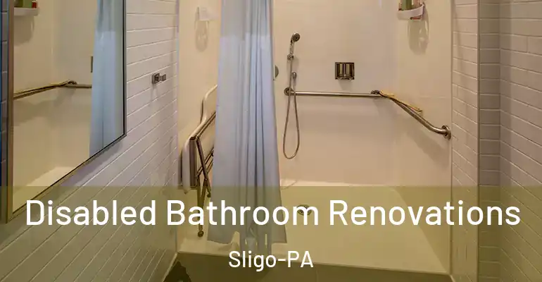 inner Bathroom imggen Disabled Bathroom Renovations Sligo-PA