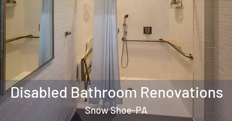 inner Bathroom imggen Disabled Bathroom Renovations Snow Shoe-PA