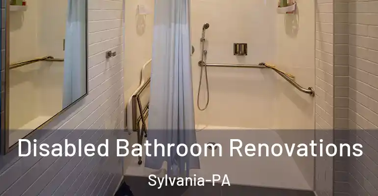 inner Bathroom imggen Disabled Bathroom Renovations Sylvania-PA