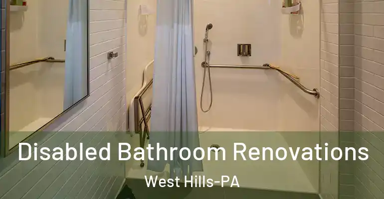 inner Bathroom imggen Disabled Bathroom Renovations West Hills-PA