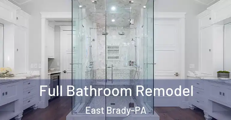 inner Bathroom imggen Full Bathroom Remodel East Brady-PA