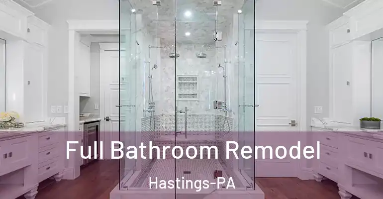 inner Bathroom imggen Full Bathroom Remodel Hastings-PA