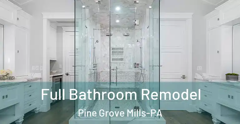 inner Bathroom imggen Full Bathroom Remodel Pine Grove Mills-PA