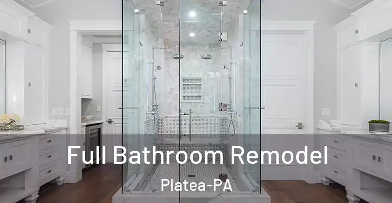 inner Bathroom imggen Full Bathroom Remodel Platea-PA
