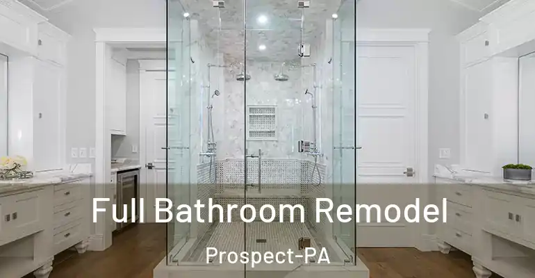 inner Bathroom imggen Full Bathroom Remodel Prospect-PA