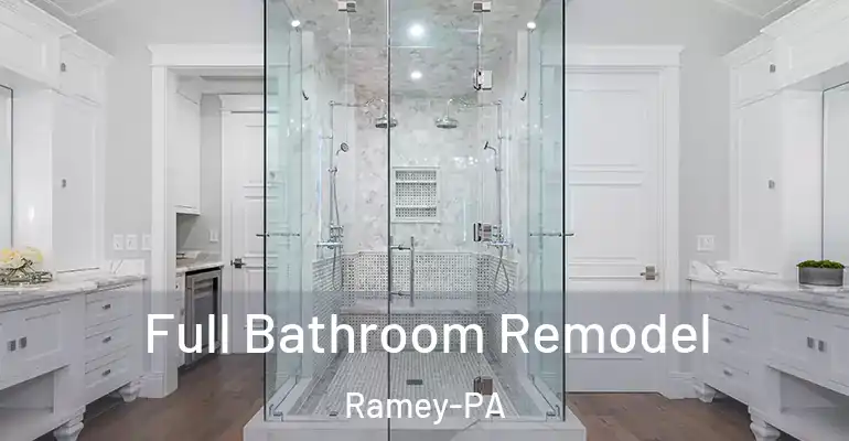 inner Bathroom imggen Full Bathroom Remodel Ramey-PA