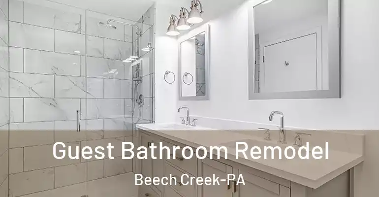inner Bathroom imggen Guest Bathroom Remodel Beech Creek-PA