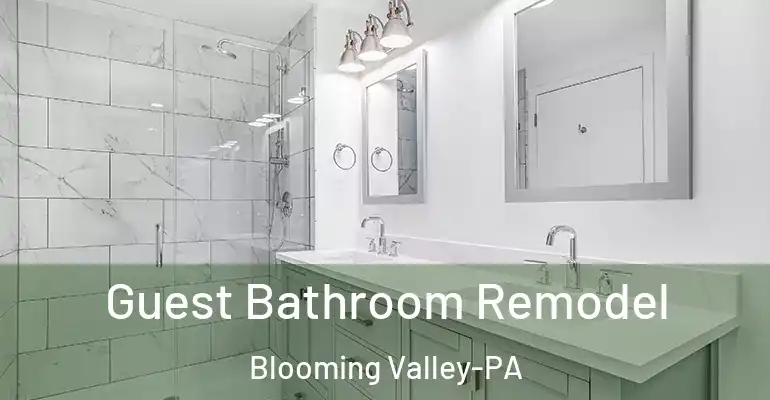 inner Bathroom imggen Guest Bathroom Remodel Blooming Valley-PA