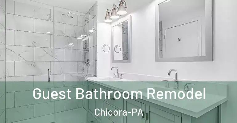inner Bathroom imggen Guest Bathroom Remodel Chicora-PA