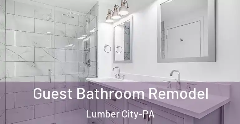inner Bathroom imggen Guest Bathroom Remodel Lumber City-PA