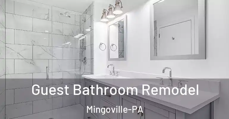 inner Bathroom imggen Guest Bathroom Remodel Mingoville-PA