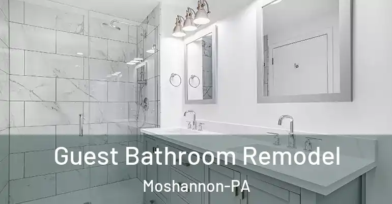 inner Bathroom imggen Guest Bathroom Remodel Moshannon-PA