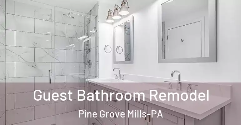inner Bathroom imggen Guest Bathroom Remodel Pine Grove Mills-PA