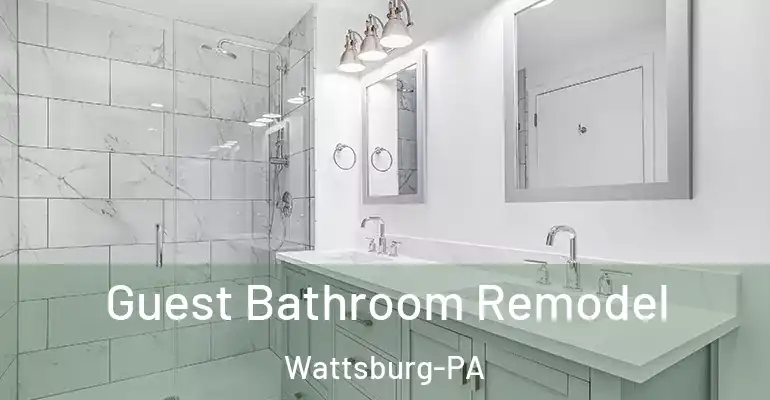 inner Bathroom imggen Guest Bathroom Remodel Wattsburg-PA