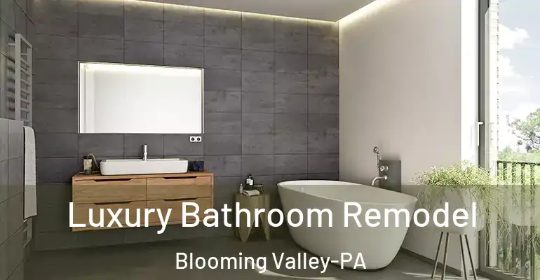 inner Bathroom imggen Luxury Bathroom Remodel Blooming Valley-PA