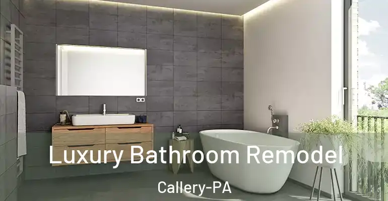 inner Bathroom imggen Luxury Bathroom Remodel Callery-PA
