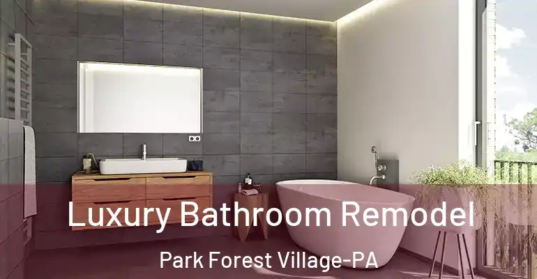 inner Bathroom imggen Luxury Bathroom Remodel Park Forest Village-PA