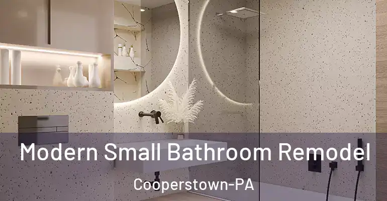 inner Bathroom imggen Modern Small Bathroom Remodel Cooperstown-PA