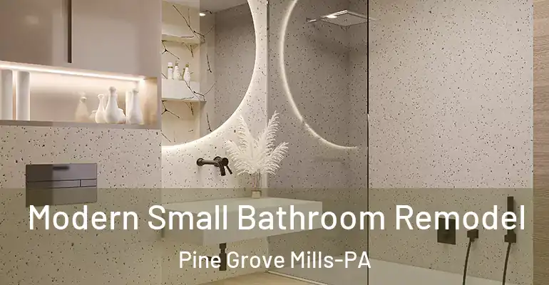 inner Bathroom imggen Modern Small Bathroom Remodel Pine Grove Mills-PA