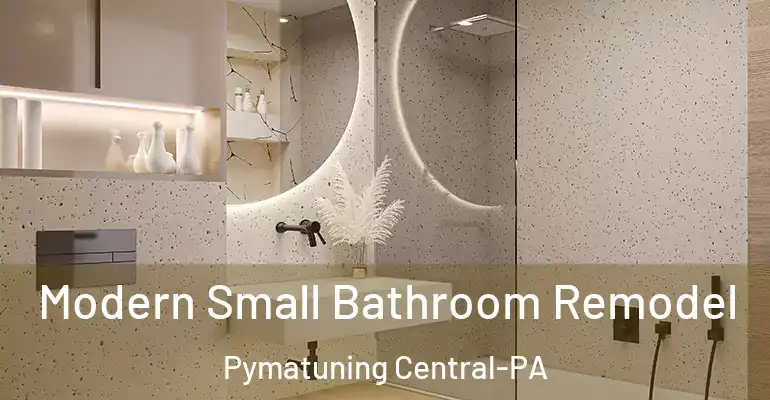 inner Bathroom imggen Modern Small Bathroom Remodel Pymatuning Central-PA