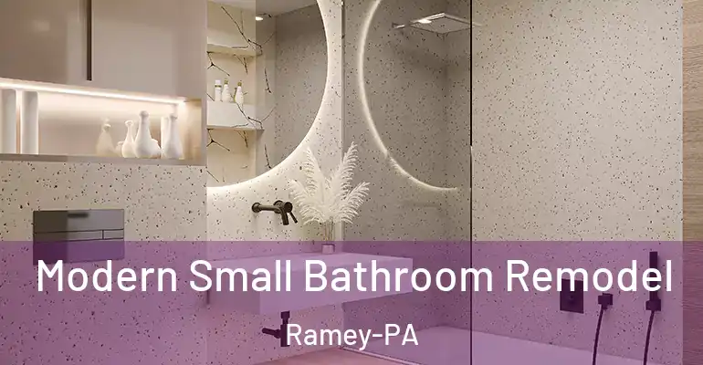 inner Bathroom imggen Modern Small Bathroom Remodel Ramey-PA